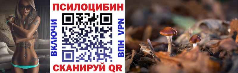 Галлюциногенные грибы GOLDEN TEACHER  Купить закладки  Валуйки 